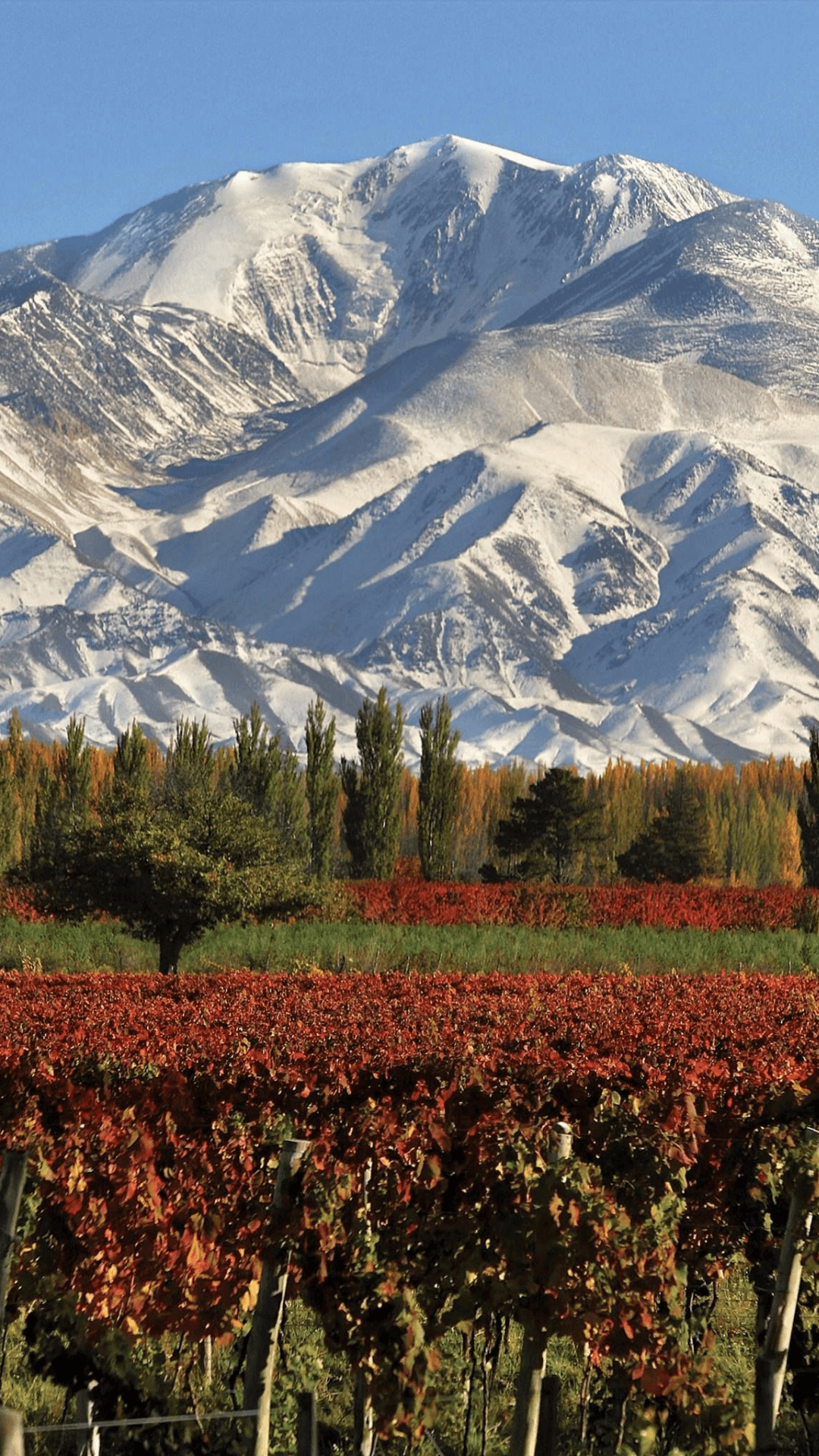 Mendoza
