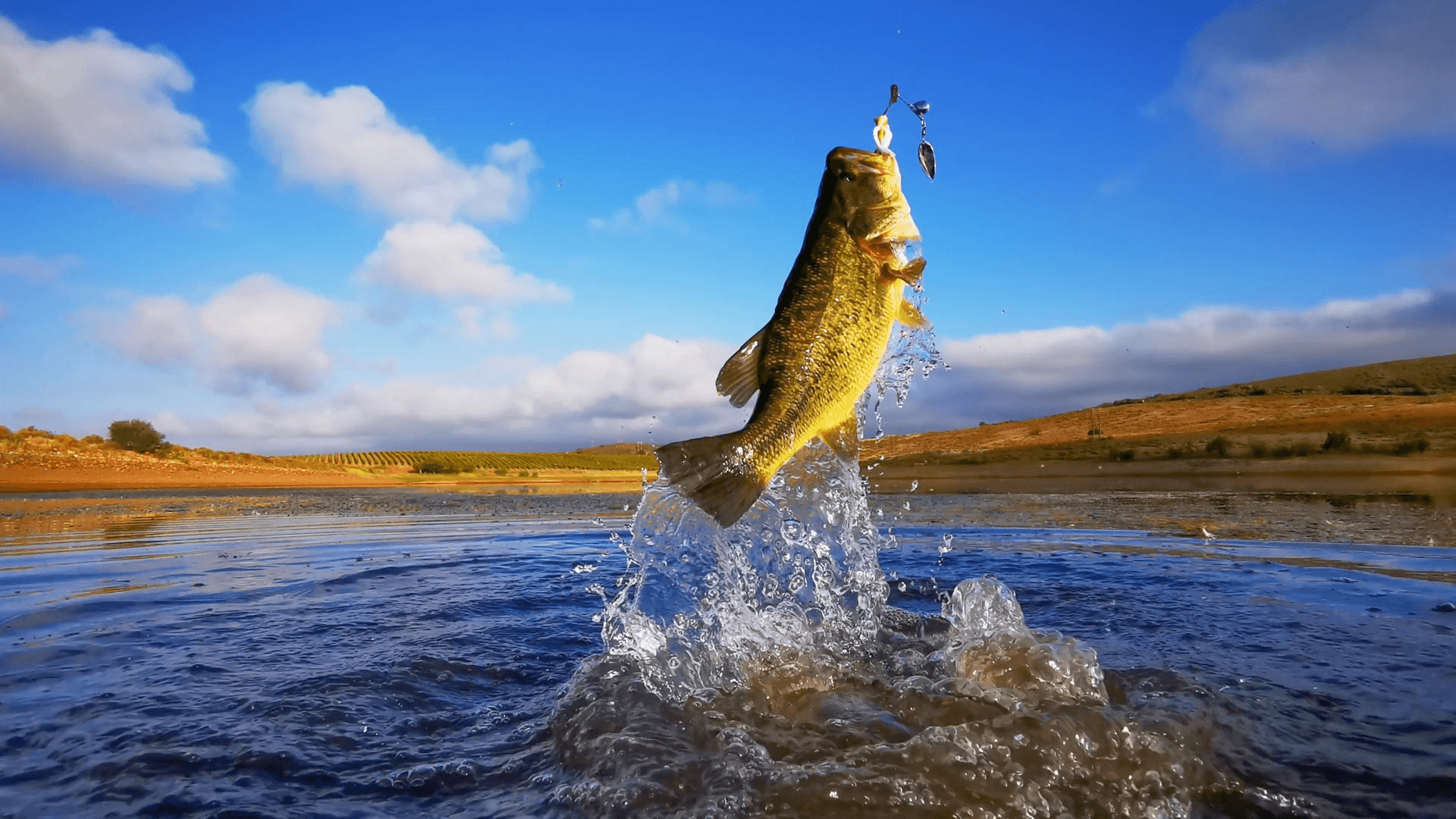 Pesca deportiva en Los Roques